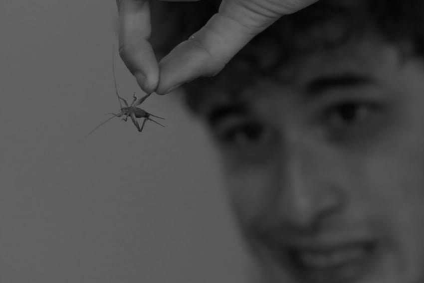 Momak jede žive bube