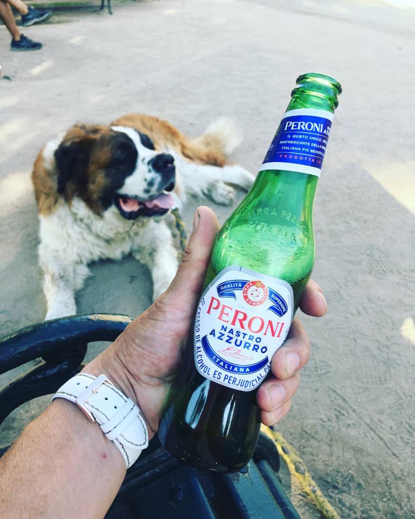 Bernardinac tera gazdu da pije