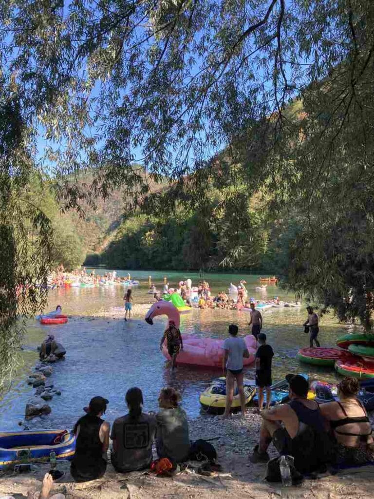 Tolminka i soča Veliki flamingosi PRH