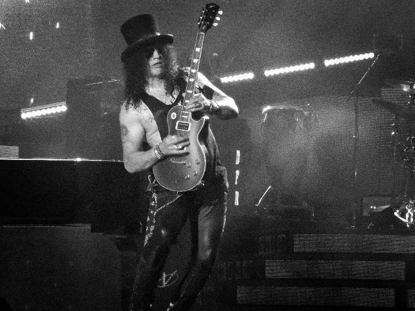 Slash iz Guns N' Roses, čuveni gitarista po kojem je nova vrsta zmije dobila ime