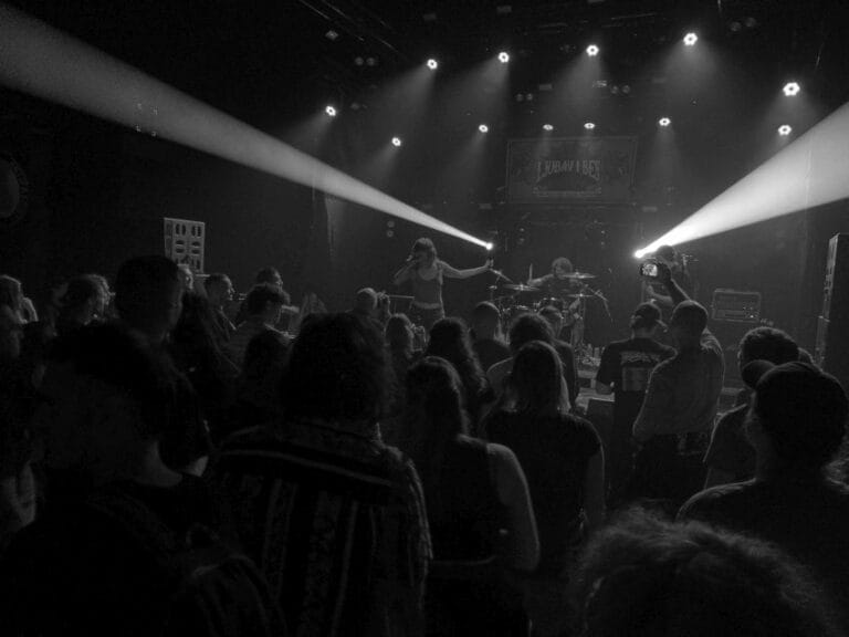Publika na nastupu benda Frenzee na devetom izdanju festivala Ljubav i Bes u Novom Sadu