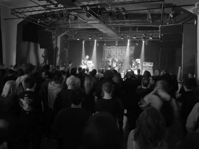 Publika na To Be Punk festivalu 2023. u prepunoj SKCNS Fabrici u Novom Sadu, tokom nastupa pank benda